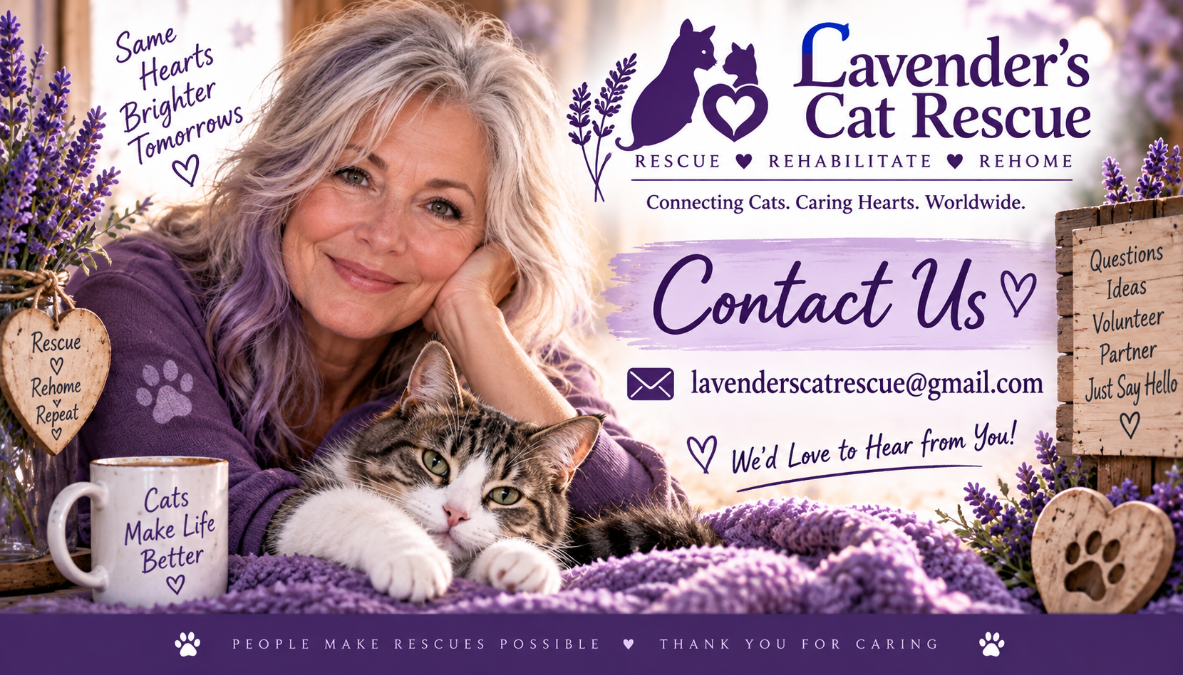 Contact Lavender's Cat Rescue
