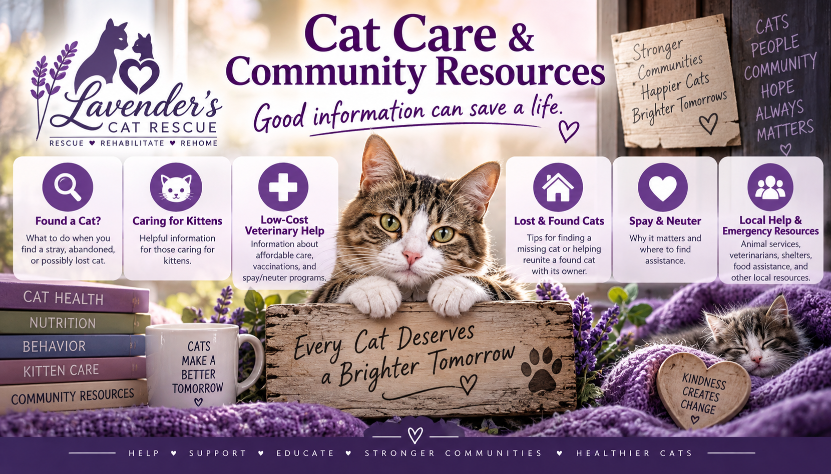 Lavender's Cat Rescue - Cat Care and Community Resources